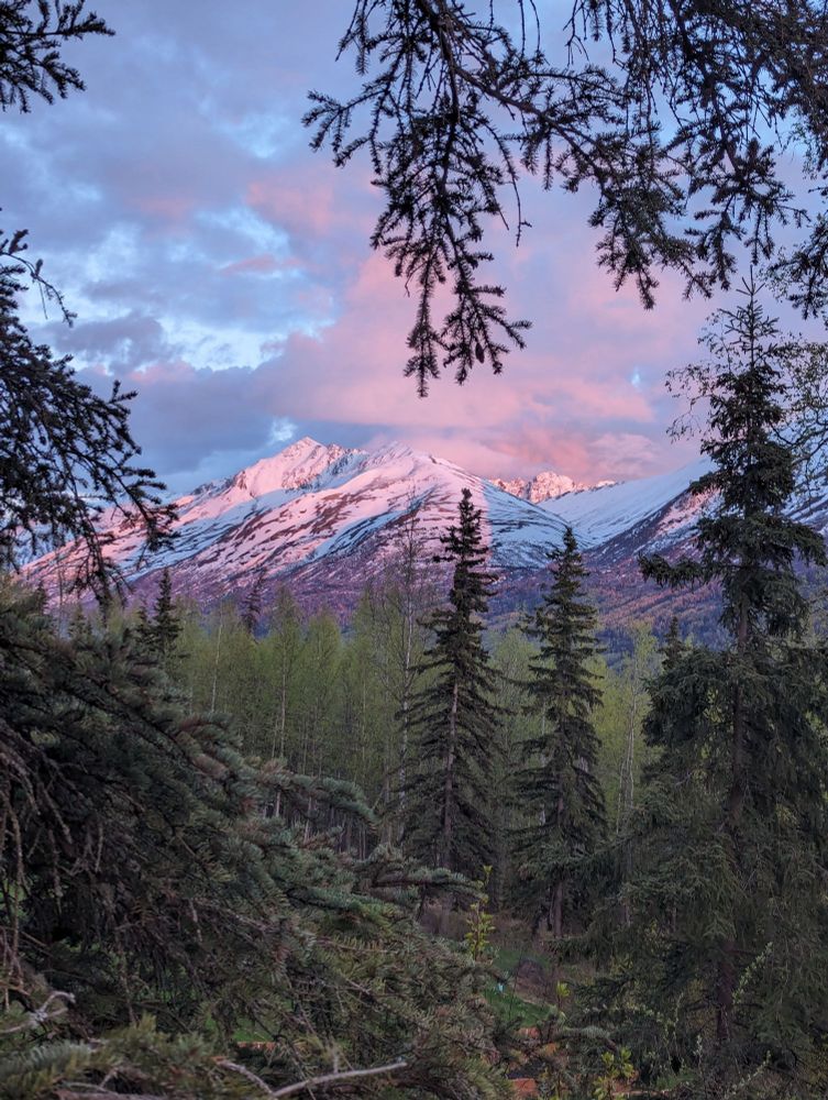 Eagle River valley, mid-June 