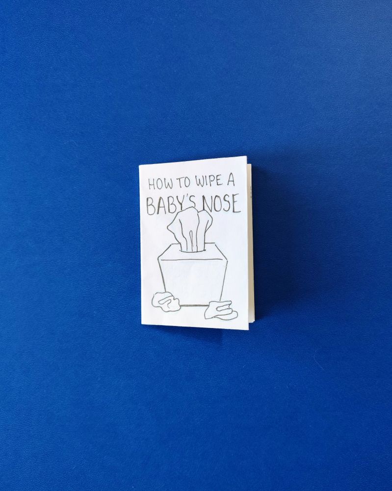 How to Wipe a Baby's Nose zine
