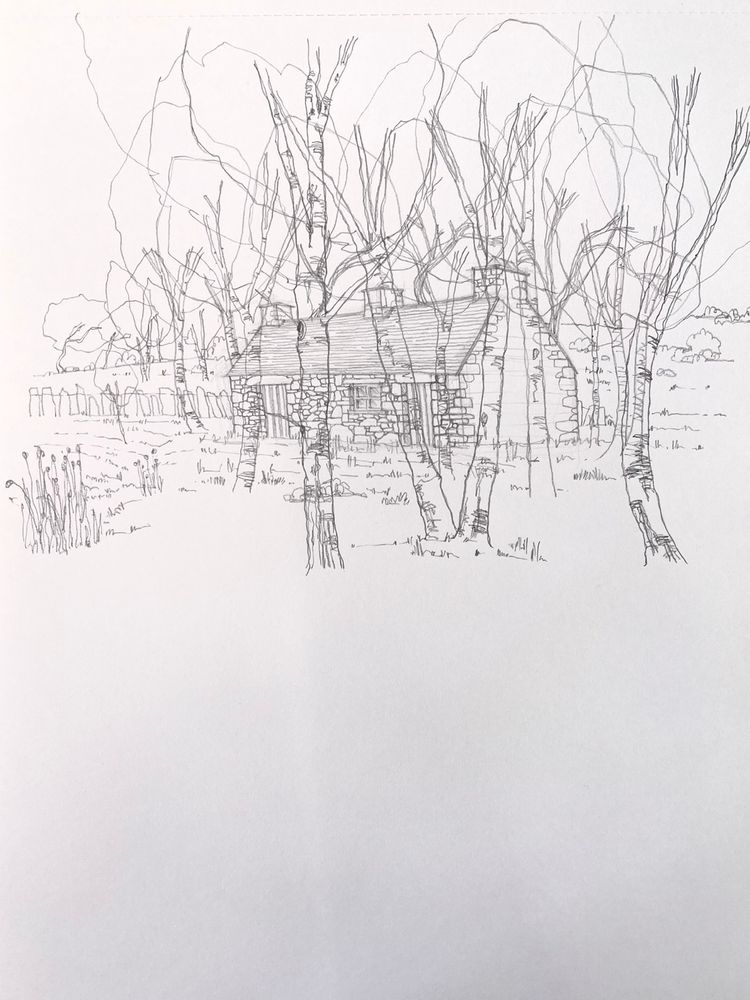 Line drawing of a stone cottage in a field surrounded by birch trees.  The trees conceal the cottage and hill behind but can be seen through such that what is in the background can be seen through that which is in the foreground.