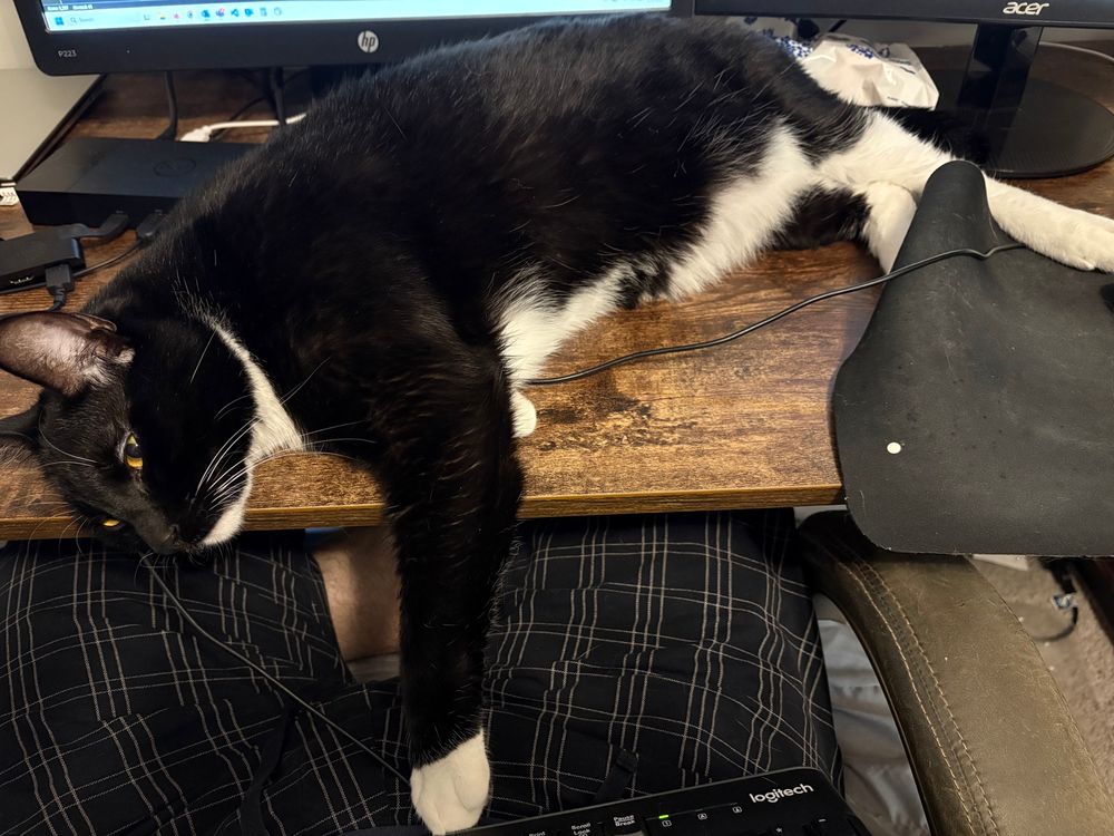 A tuxedo cat laying on a desk after pushing over a keyboard and sprawling out while someone is trying to work