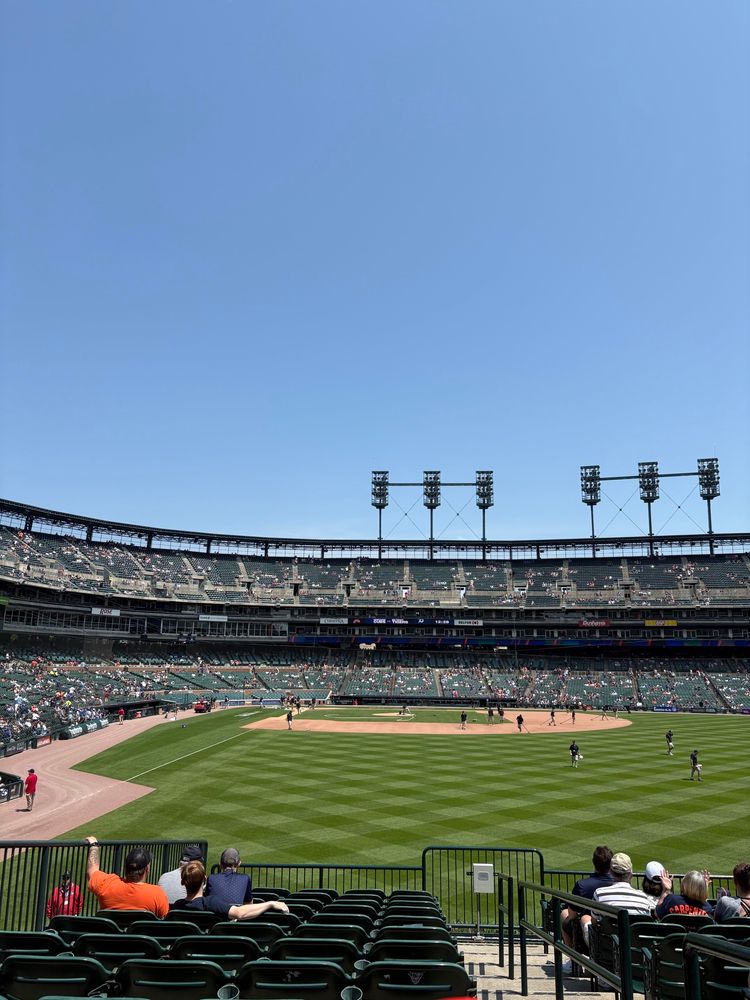View from my seat