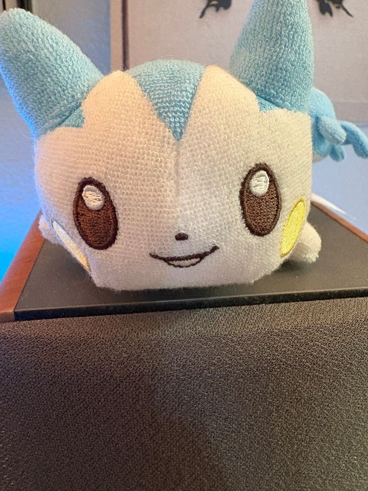 Pachi plush staring at you