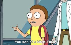 The cartoon character Morty from “Rick and Morty” pointing and saying ‘You son of a bitch, I’m in’