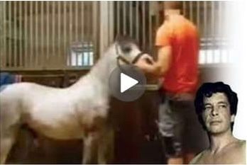 A still from the Mr. Hands video with an overlay of a portrait photo of Kenneth D. Pinyan. I’m not looking up the video – and neither should you, you freak. Live in blissful ignorance.