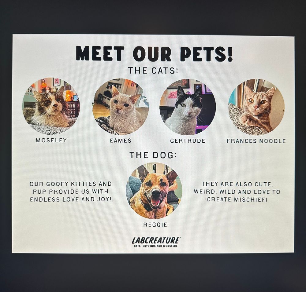 A sign that says Meet Our Pets with a white background and five circles with photos of four cats and a dog with their names: Moseley, Eames, Gertrude, Frances Noodle and Reggie.  Also text that says Our goofy kitties and pup provide us with endless love and joy. They are also cute, weird, wild and love to create mischief. 