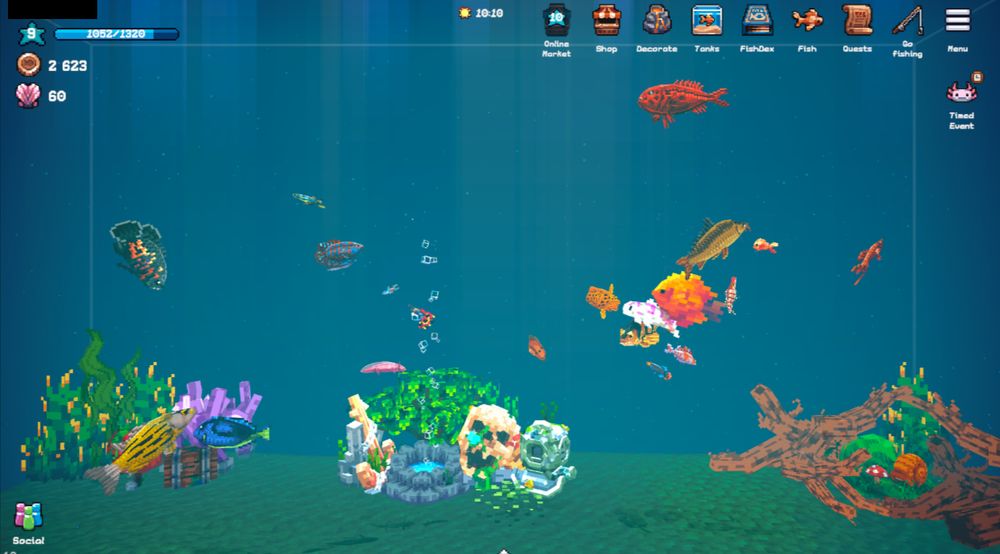 "Player C" - a level 9 aquarium, but lots of decoration and lots of fish too.