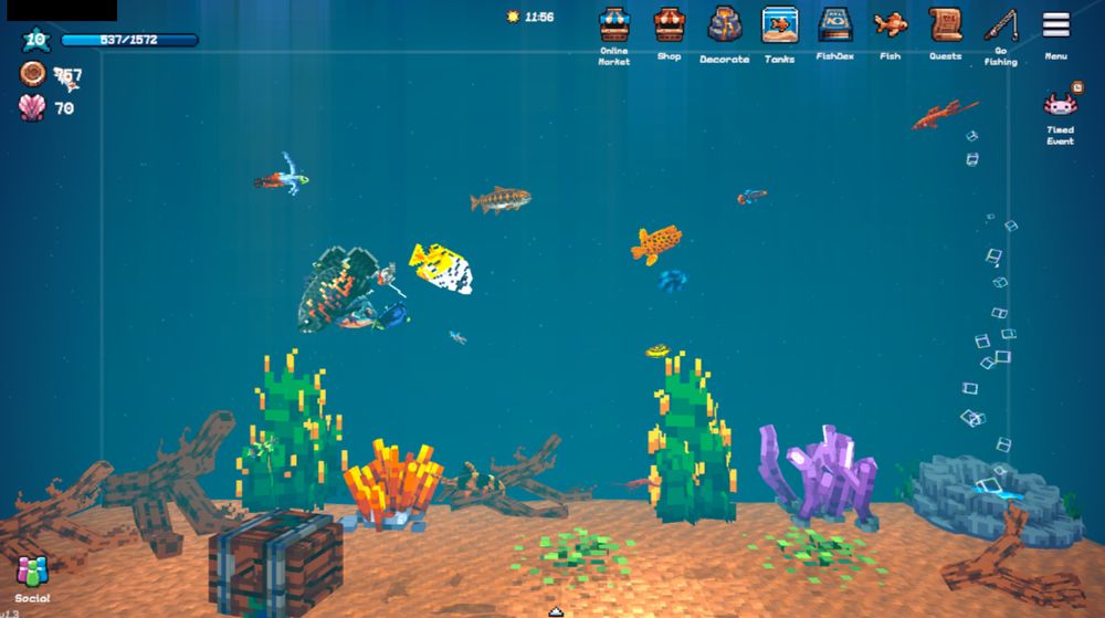 "Player B" has a level 10 aquarium with lots of decorations and a good collection of fish.