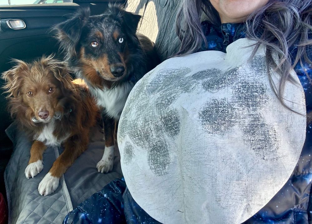 A small red dog and a small black dog either bright blue eyes and me in a galaxy print puffer with a hand drawn full moon pinned to the front. 