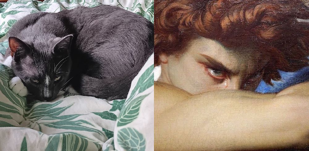 side-by-side of Grizz the grey tuxedo cat looking angsty next to a closeup of "The Fallen Angel" painting