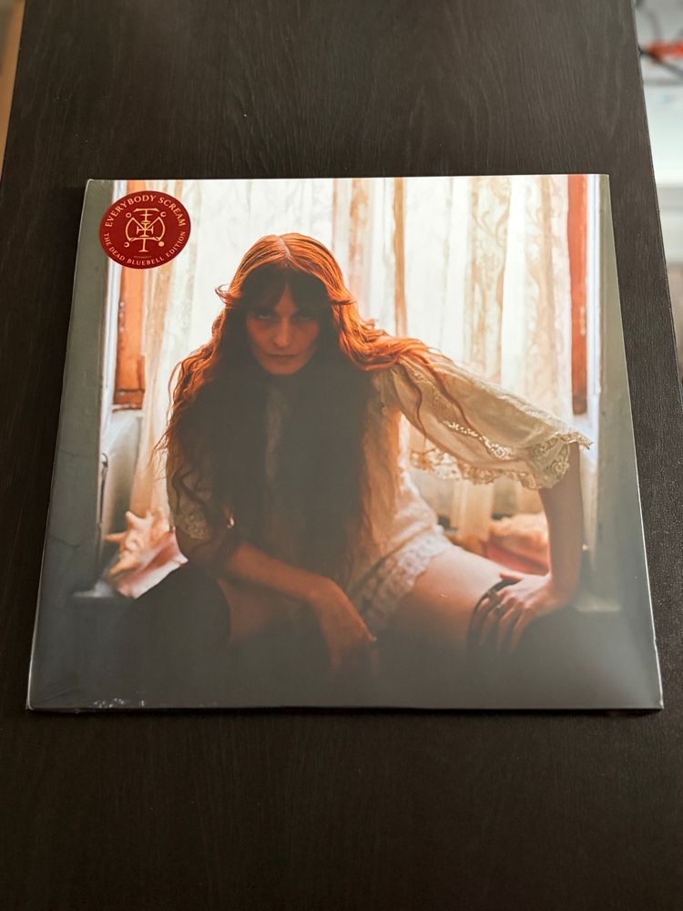 Florence and the machine, everybody scream