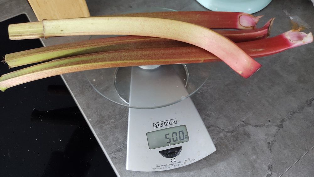 Weegschaal op 500 gr met 4 stelen rabarber.