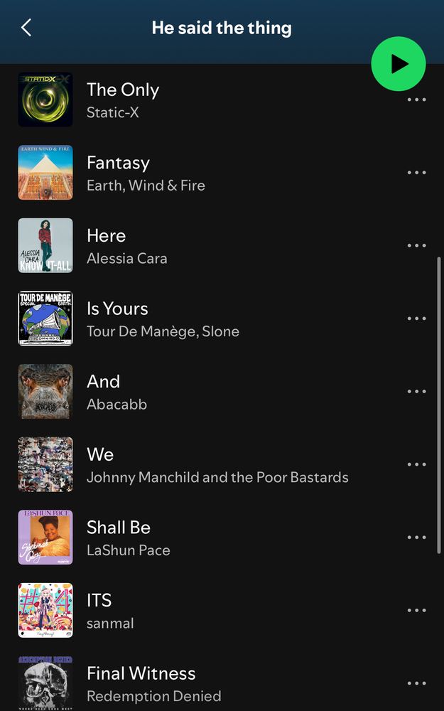 Spotify playlist titled “he said the thing” with song titles that make a up the phrase “The only fantasy here is yours, and we shall be its final witness”