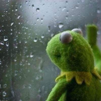 kermit the frog looking out a window, one hand pressed against the window, it is raining outside 