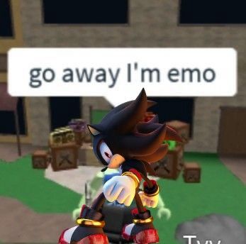 shadow the hedgehog half turned around looking angry, with speech bubble saying: go away in emo. 
he’s photoshopped into roblox I think 