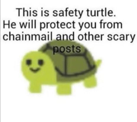 little turtle emoji with text saying: This is safety turtle.
He will protect you from chainmail and other scary posts