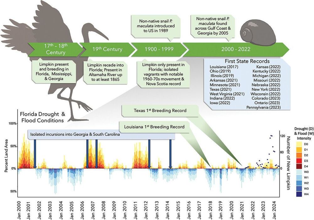 A graphical timeline outlining the history of Limpkin range changes.
