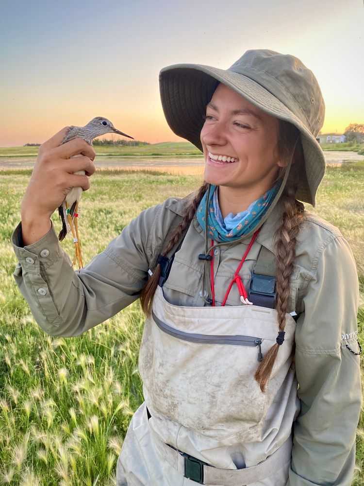a smiling woman dressed for working outdoors holds a captured shorebird; wetlands and grasses are visible in the background
