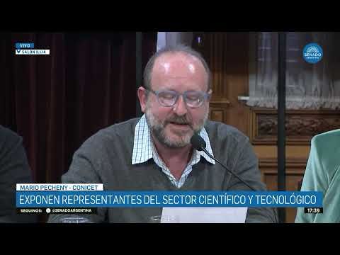 MARIO PECHENY - COMISIÓN DE CIENCIA Y TECNOLOGÍA 04-06-25