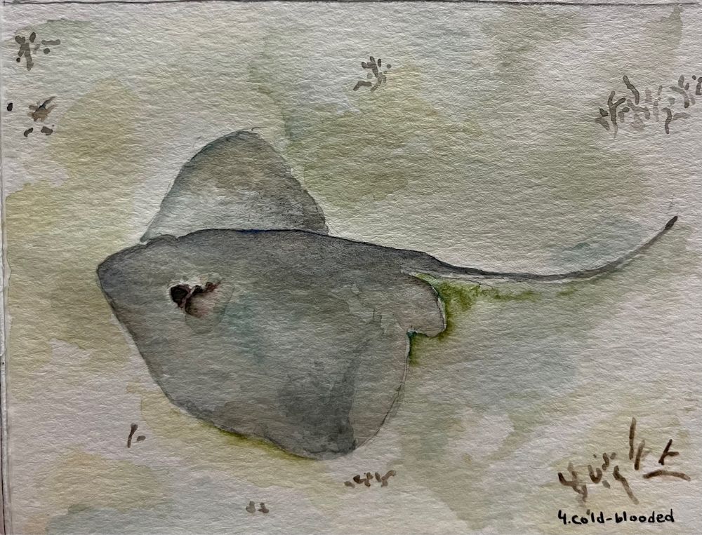 Let’s call it an abstract watercolor painting of a blunt nose stingray skating over a sandy bed