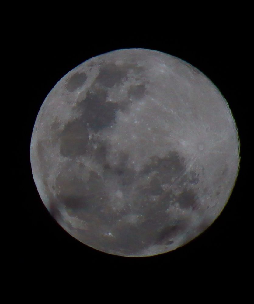 A cropped photo of the full moon