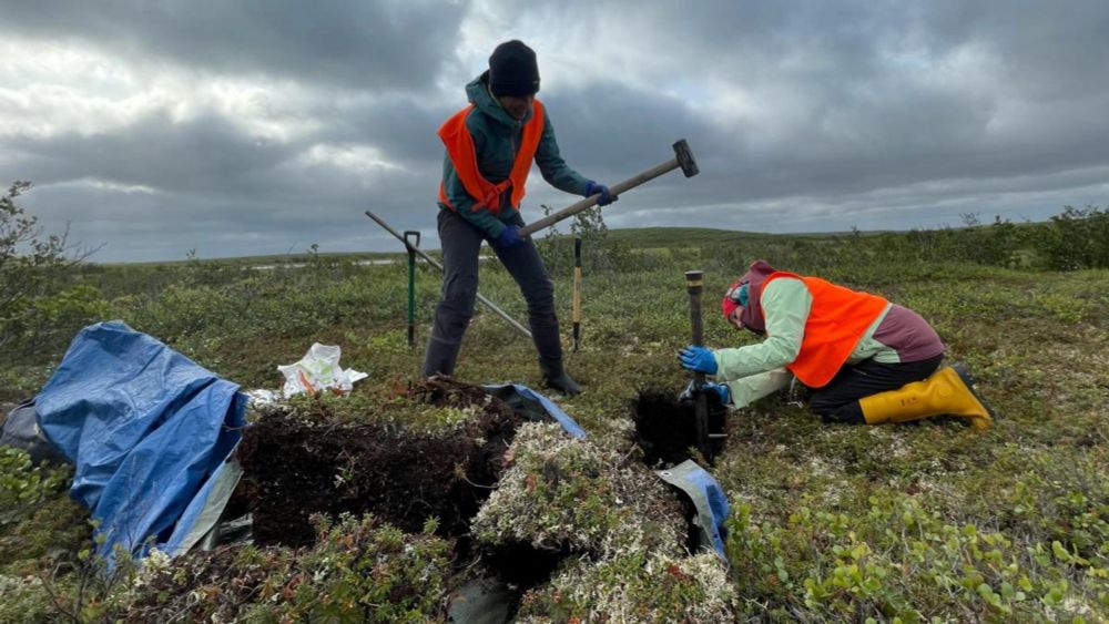 Permafrost taut: „Die einst eingefrorenen Abfälle sickern jetzt in den Untergrund“ - WELT