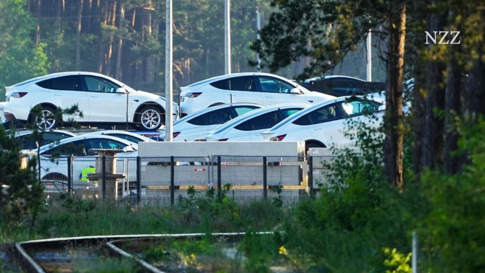 Grünheide: Wie Elon Musks Tesla-Werk eine Brandenburger Gemeinde spaltet