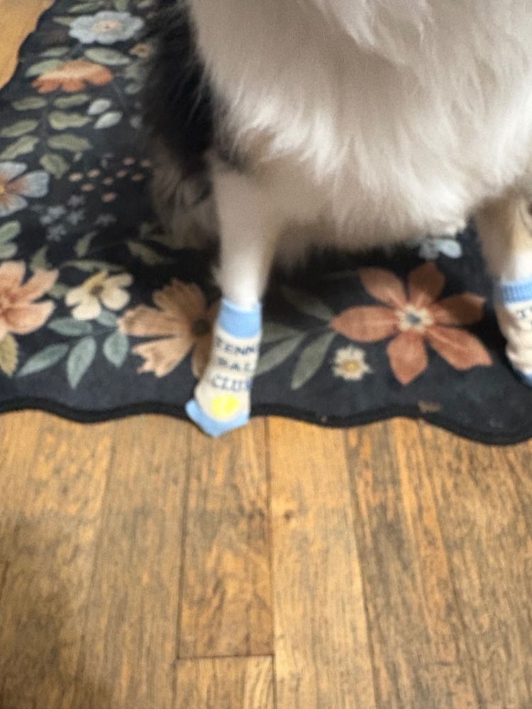 Won’t someone rid me of these meddling socks?