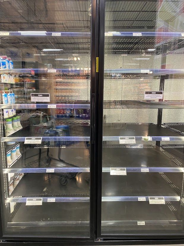 An empty refrigerator case showing the egg section of my local grocery store.