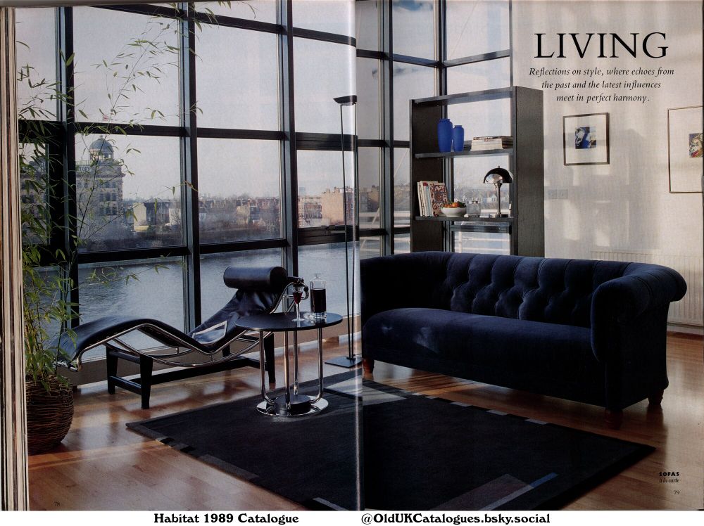 A stylish living room is showcased, featuring a dark blue sofa, a chaise lounge, a modern side table, and a floor lamp. The room boasts large windows offering a scenic river view and a bookshelf filled with books and decorative vases. The overall aesthetic combines modern and classic elements. 

(+Bookshelf
Chaise Longue
Floor Lamp
Rug
Side Table
Sofa
and Vases)