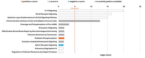 Horizontal bar chart showing oxidative phosphorylation as the only positive Z-score protein set.
