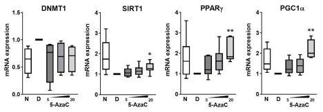 Box plots showing increase of DNMT1 and decrease of SIRT1, PPARG, and PGC1a in diseased AV cells. This is reversed with 5-AzaC.