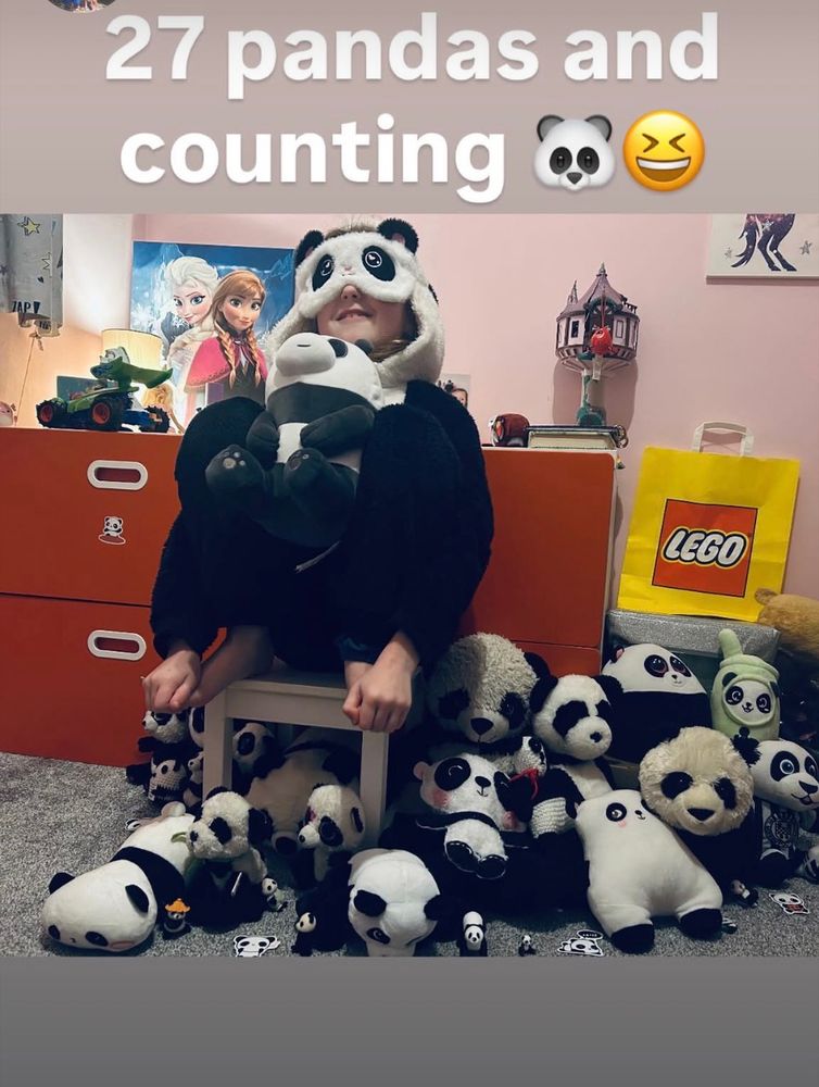 Our daughter Charlottes ever growing panda collection. This does not include her small panda figures, pillows and countless other panda stuff. 