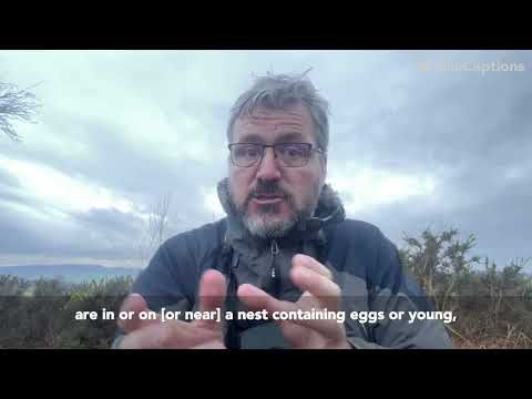 Putting birds first, pt1