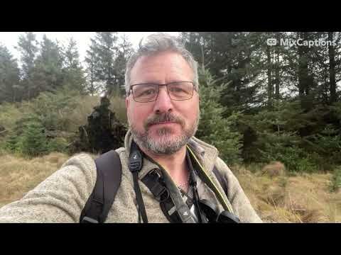Some advice on looking for displaying Goshawks