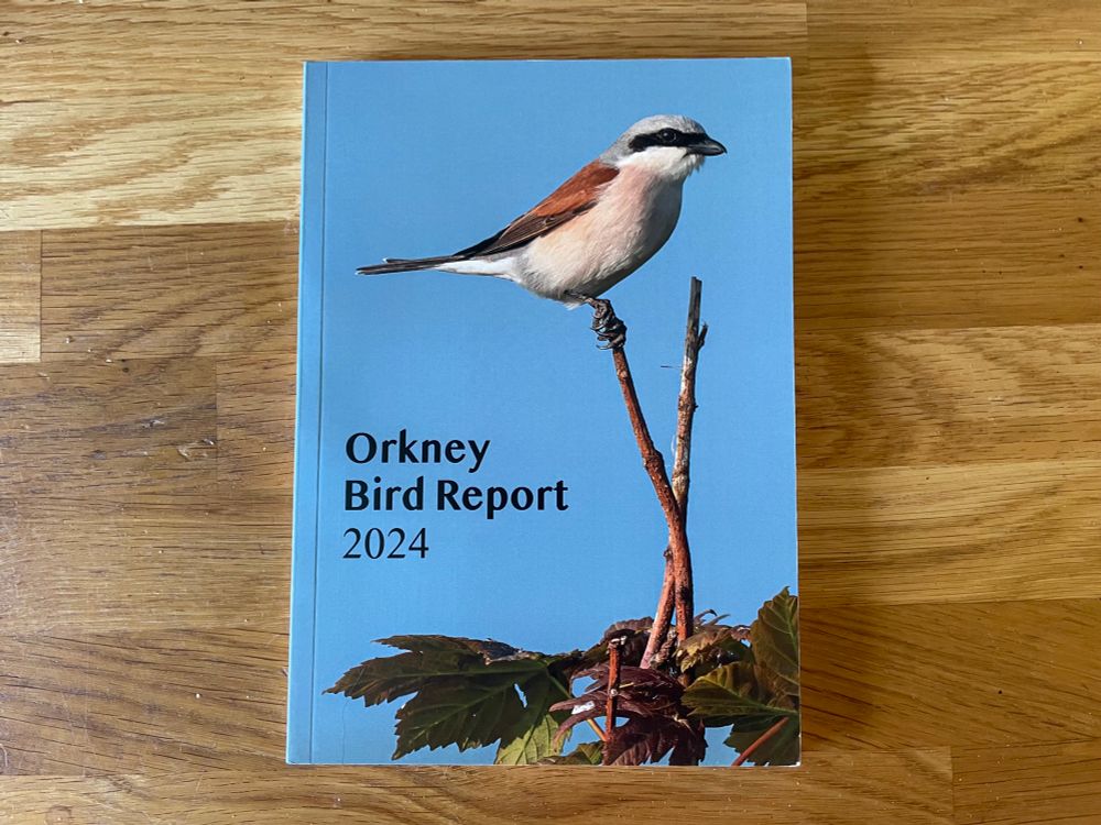 The 2024 Orkney Bird Report, with a photo of a male Red-backed Shrike