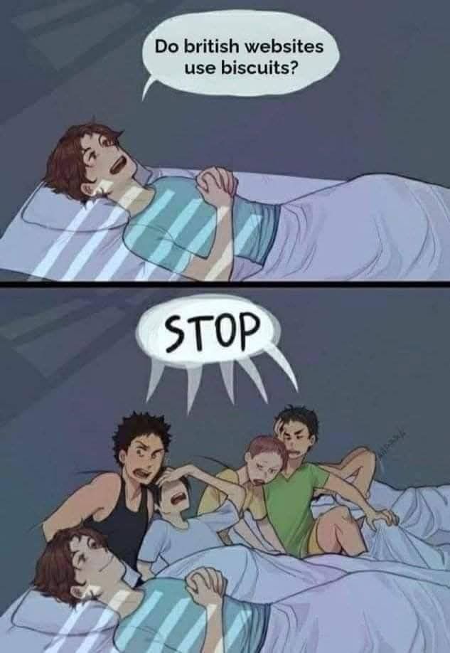 Man in bed asks: do British websites use biscuits?

Next panel, a bunch of other men angrily getting out of bed yelling "STOP" while he original man just smirks