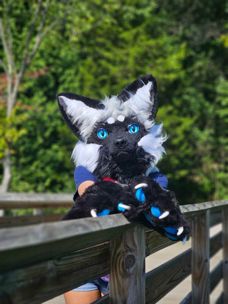 human fox peeking over a pier railing 2