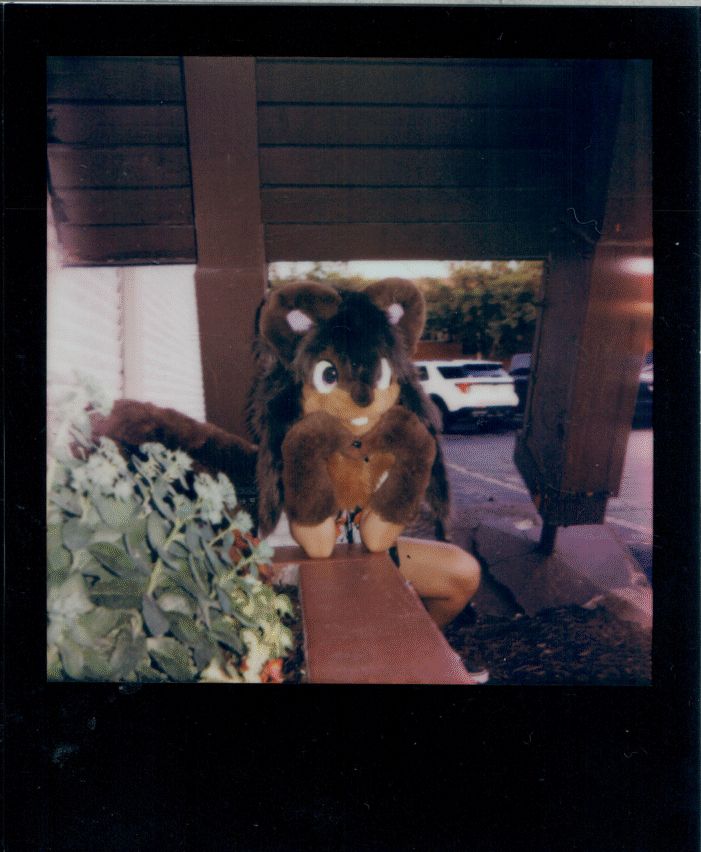 Polaroid photo of myself as Petrichor the squirrel