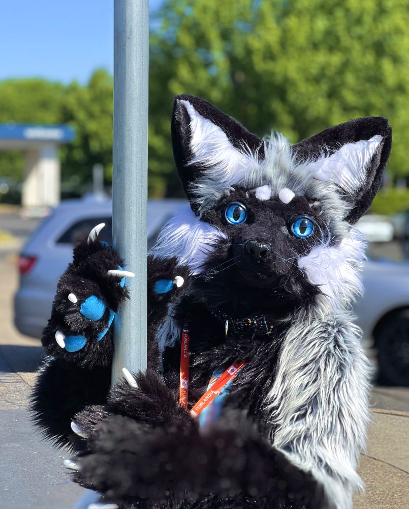 Front facing photo of me in my fursuit with my paws wrapped around a street pole. Photo by Deej