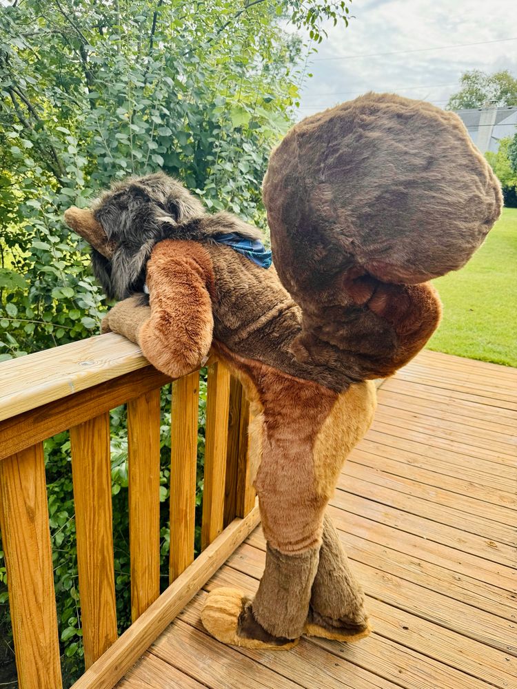 Petrichor looking over bridge with her giant tail
