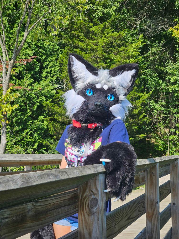human fox peeking over a pier railing