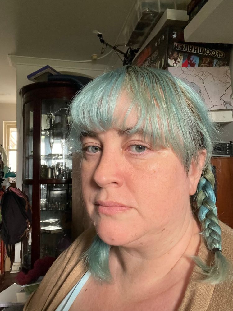 a picture of me, a white lady with blue hair in braids, looking cute!