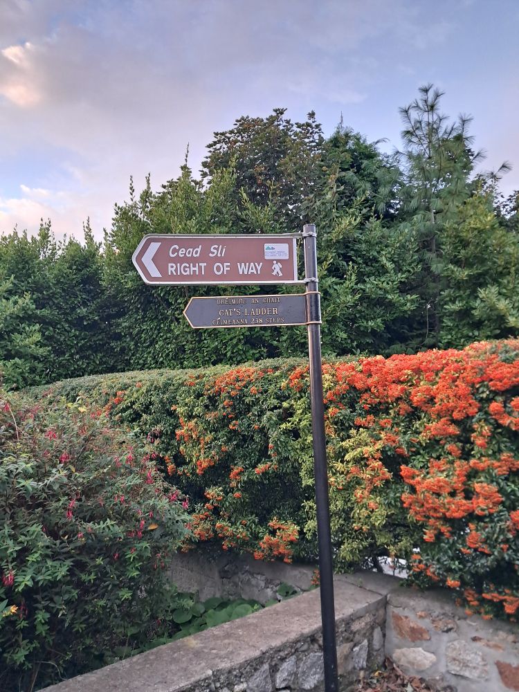 Fógra. Tháinig mé suas an staighre... 