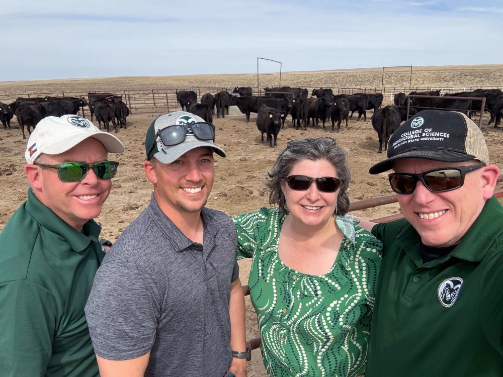 Don Thorn, Austin Couch, Carolyn Lawrence-Dill, and Chris Pires (cows in background)