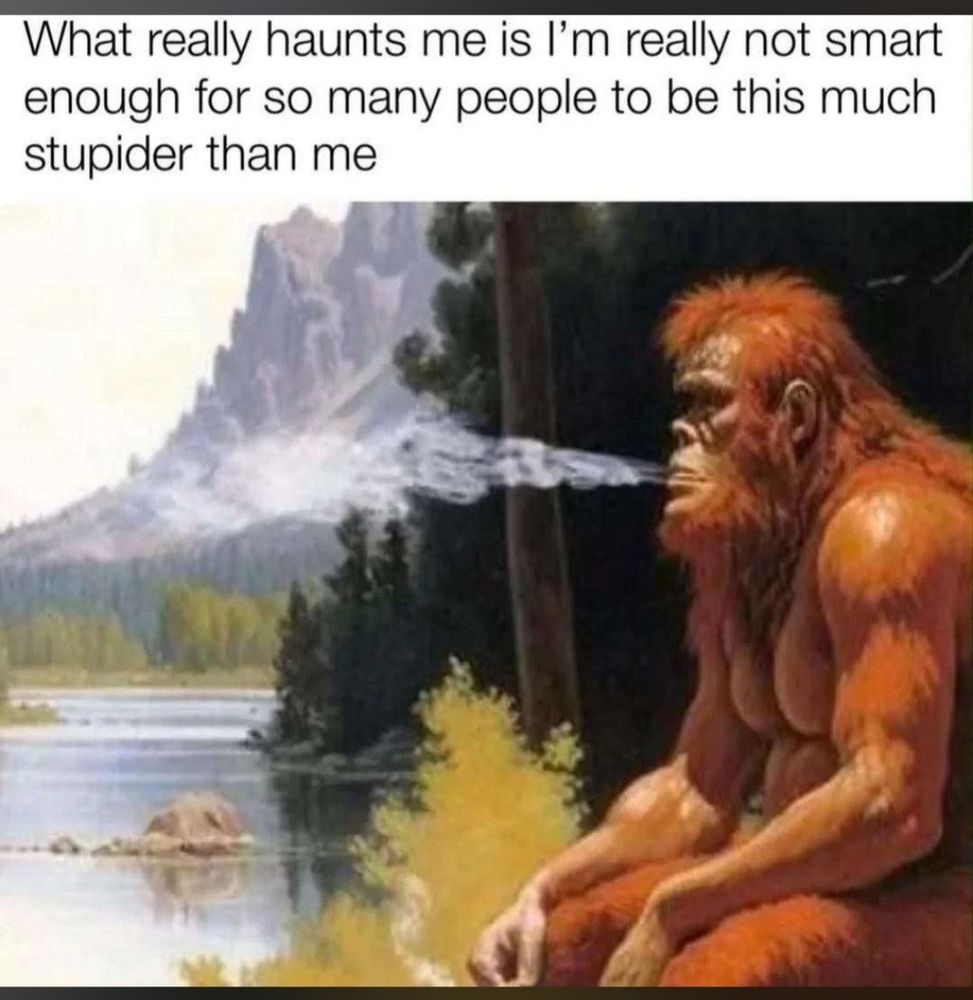 "What really haunts me is I am really not smart enough for so many people to be this much stupider than me". A old book drawing of nature scenery and a hairy big ape smoking. 