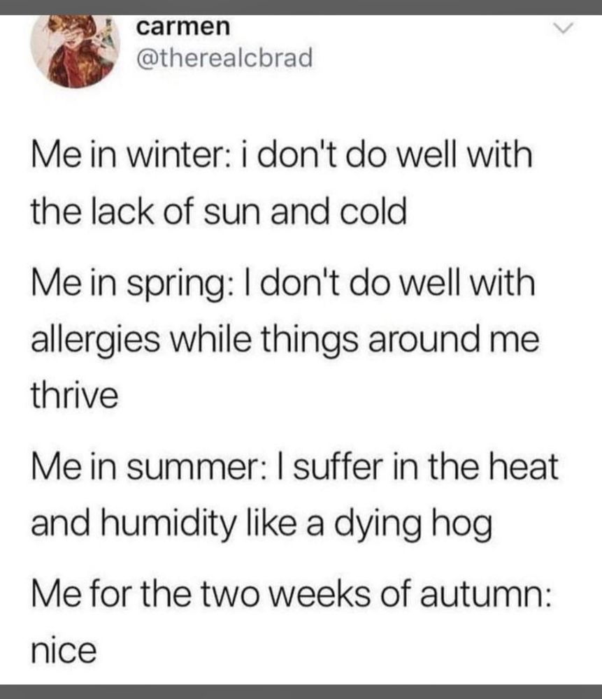 carmen
@therealcbrad


Me in winter: i don't do well with
the lack of sun and cold


Me in spring: I don't do well with
allergies while things around me
thrive


Me in summer: I suffer in the heat
and humidity like a dying hog


Me for the two weeks of autumn: nice