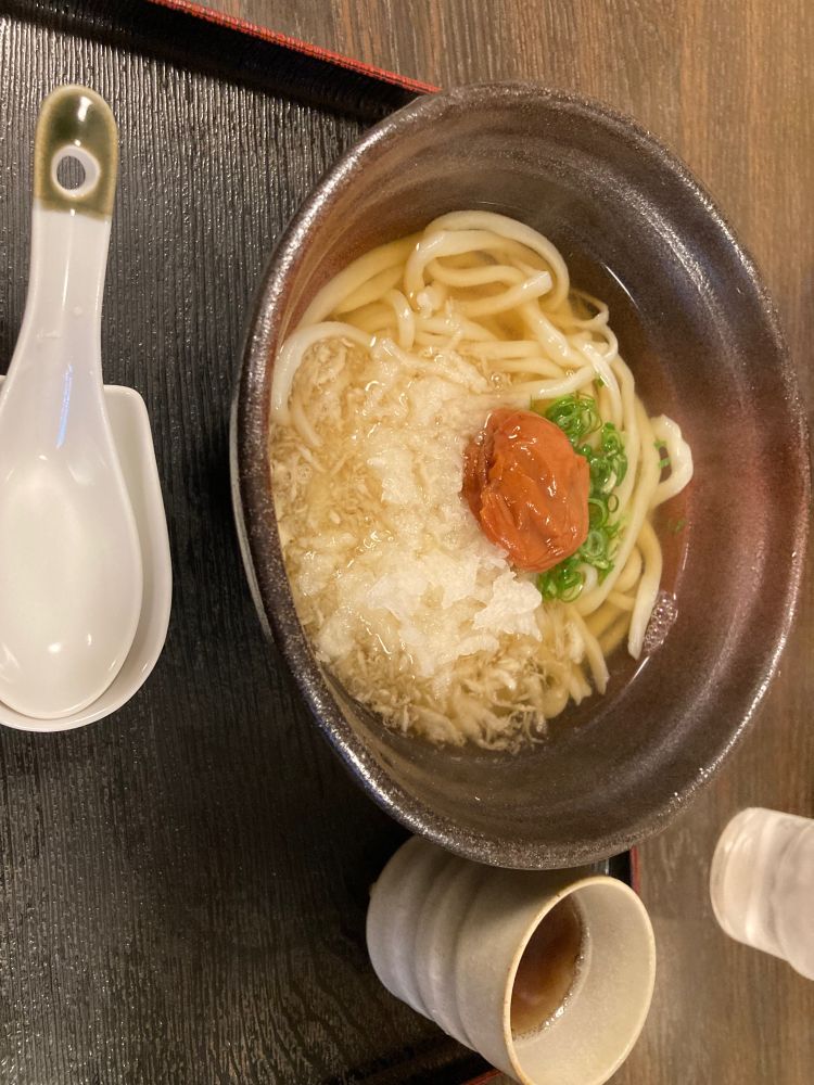 うめおろしうどん