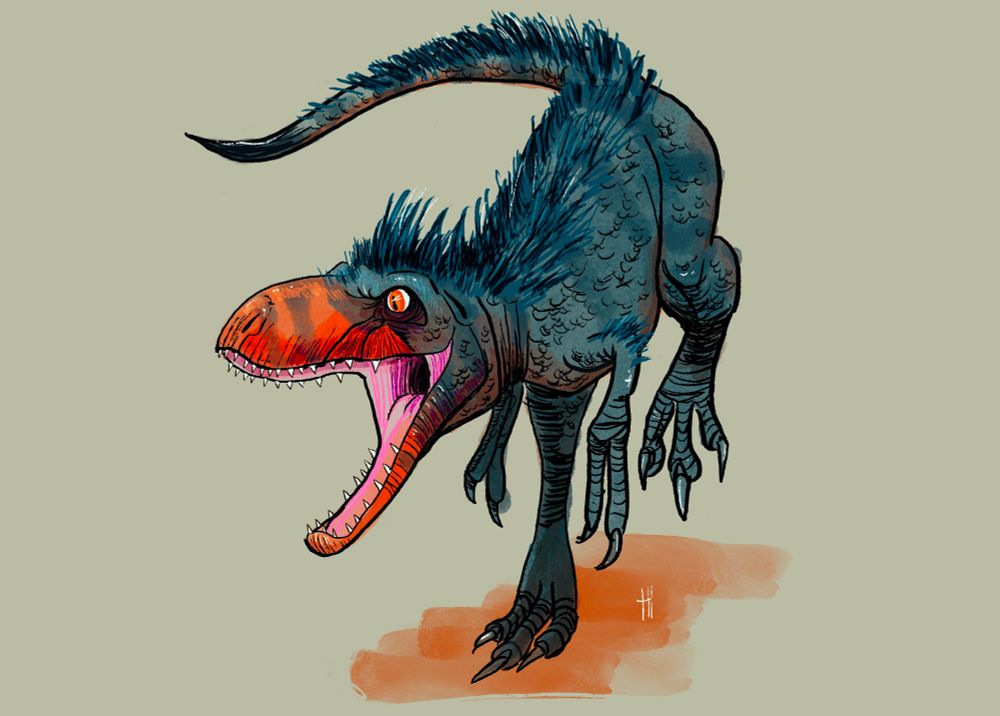 A nanotyrannus on the prowl