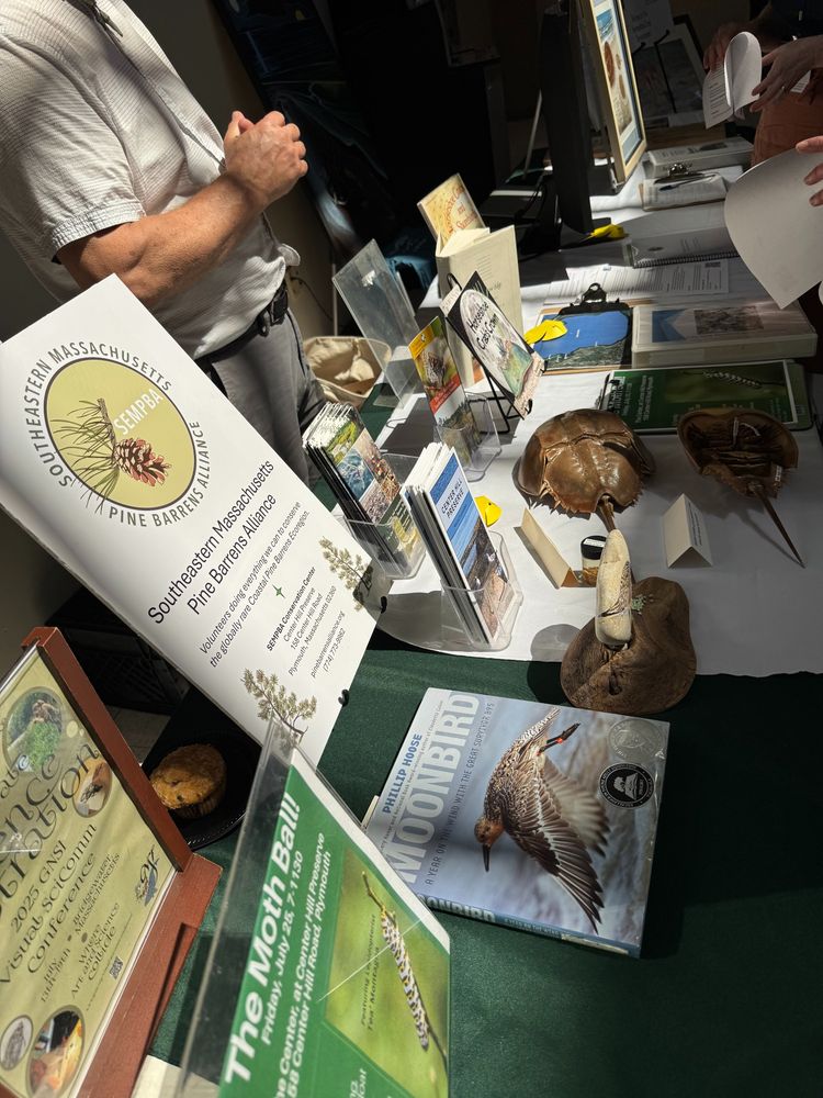 A photo showing a table with a display of horseshoe crab shells and various informational brochures from the Southeastern Massachusetts Pine Barrens Alliance.