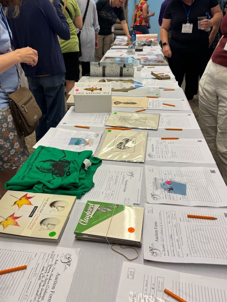 A photo showing multiple auction items ranging from T-shirts to art books on a long white table, each with a form for bidding laid out beside it.